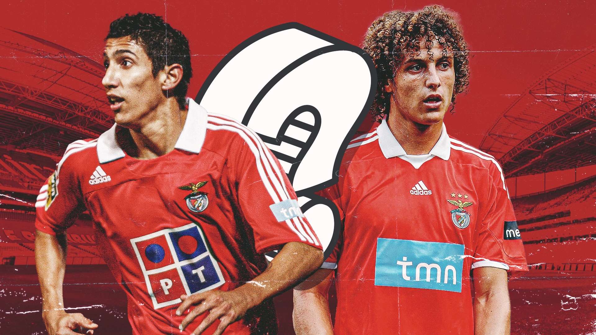 他们通过对 他们通过对